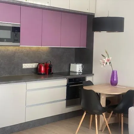 Walter&sons Centro Apartament Podiebrady